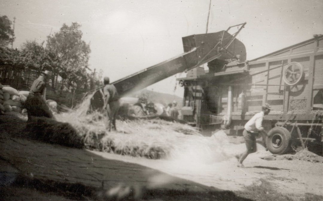 La Battitura del grano